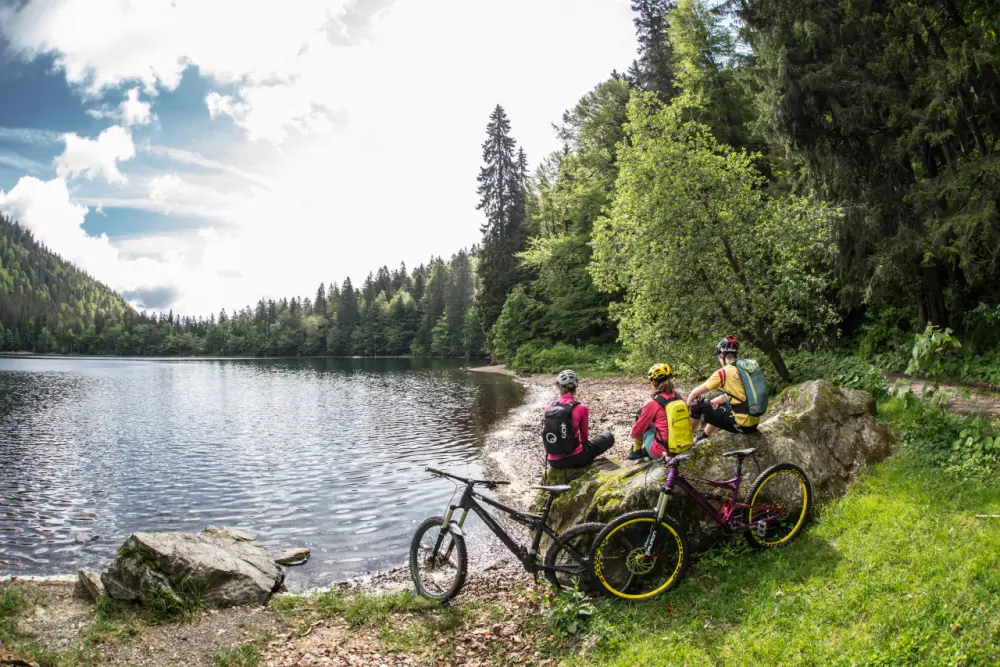 Natur mit mountainbikes — Ferienwohnung WÄLDER:Quartiere, Schwarzwald