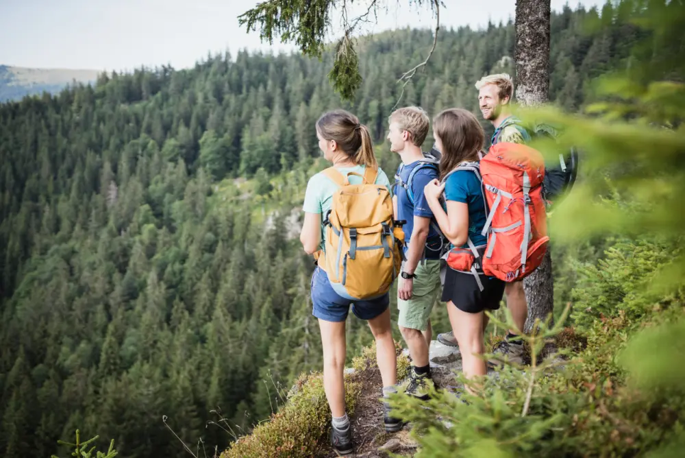 Natur mit wanderer — Ferienwohnung WÄLDER:Quartiere, Schwarzwald