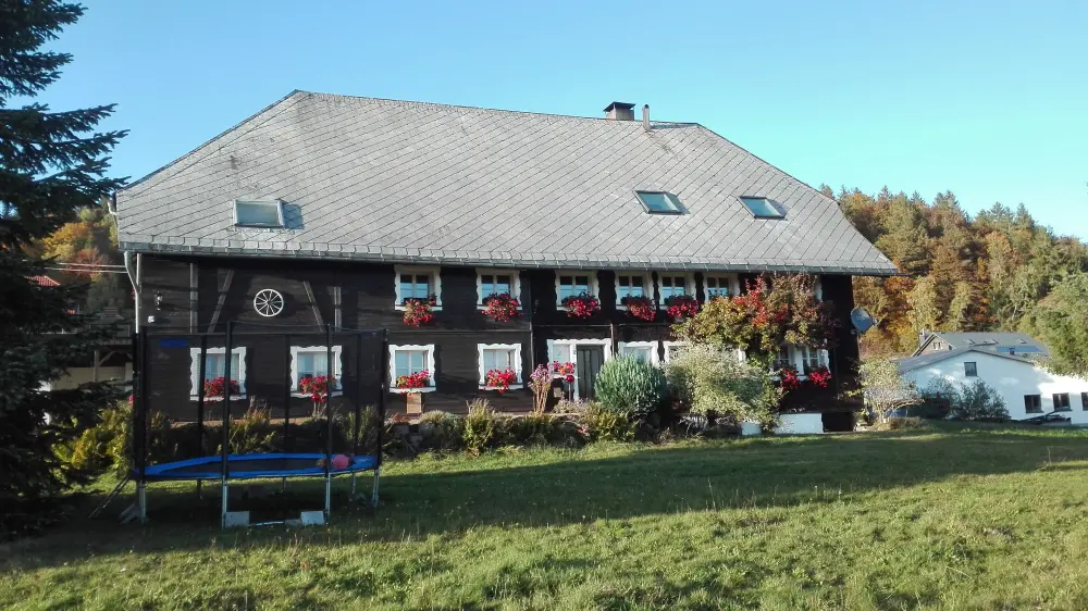 Garten mit Trampolin — Ferienhaus WÄLDER:Quartier Dachsberg, Haus Dachs, Schwarzwald