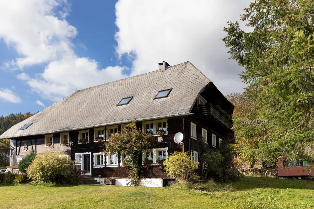 Garten mit Tannenzapfen — Ferienhaus WÄLDER:Quartier Dachsberg, Haus Dachs, Schwarzwald